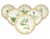 6 FLORA DANICA ROYAL COPENHAGE