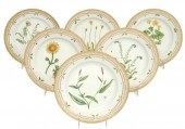 6 FLORA DANICA ROYAL COPENHAGE