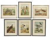 (6) FRAMED ORNITHOLOGY LITHOGR