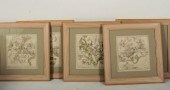 6 HANDCOLORED ATLAS OF THE HEA