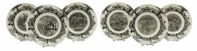 6) WEDGWOOD KRUGER NATIONAL PARK