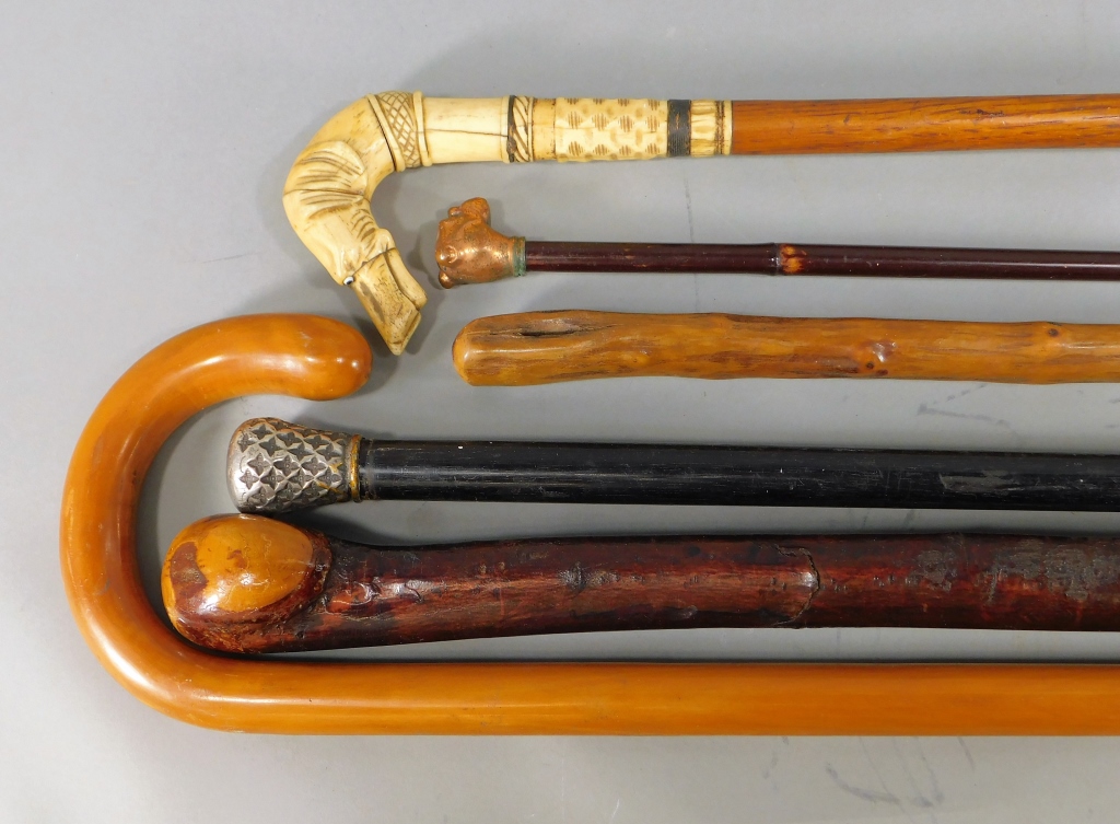 6PC AMERICAN WOOD DOG HANDLE CANE