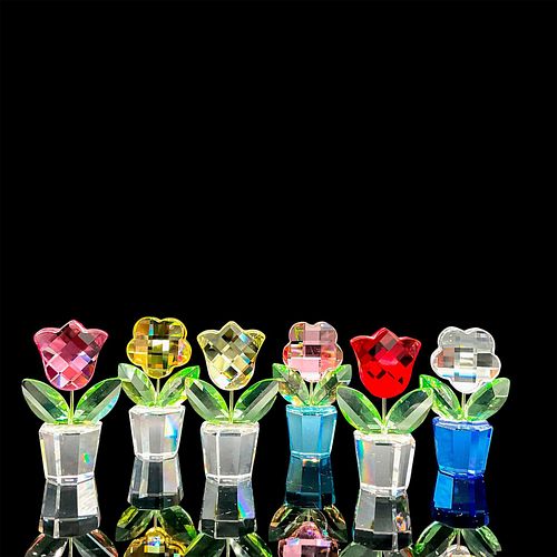 6PC FLOWERS COLORFUL DISPLAY -