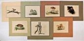 7 ANTIQUE FUNGI MUSHROOM COLOR