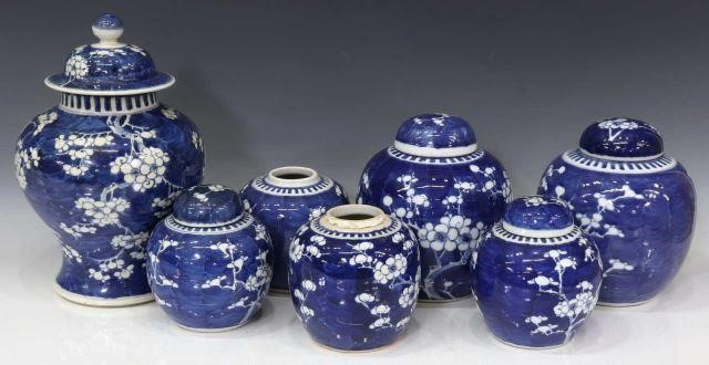 (7) CHINESE BLUE & WHITE