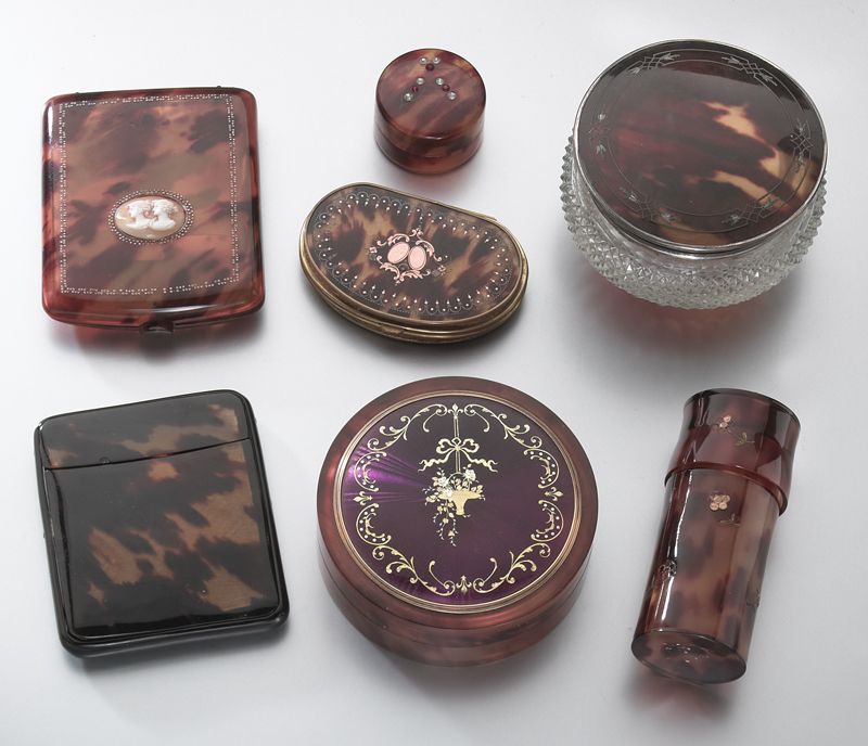 (7) English tortoise shell