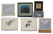 7 ILLUSTRATIONS OF BIRDS SEVER