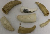 7 MISCELLANEOUS WHALE'S TEETH.