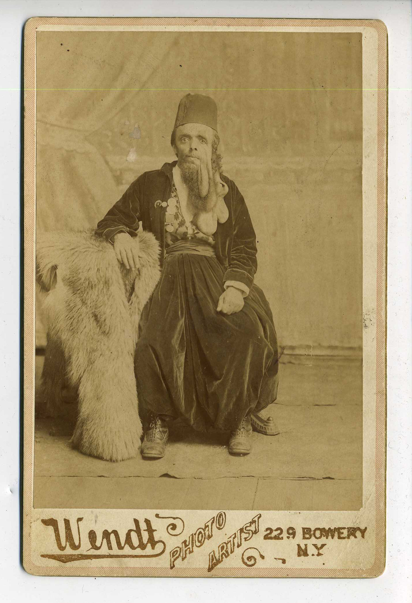 7 pieces.  19th-Century Photographs