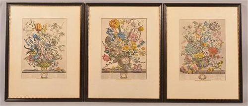 7 ROBERT FURBER HAND COLORED FLORAL