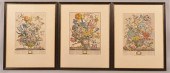 7 ROBERT FURBER HAND COLORED F