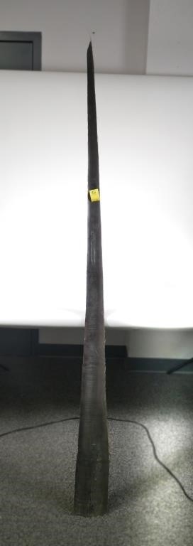 76" LONG WHALE BALEEN