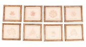 8 ANTIQUE DRIED & FRAMED MARIN