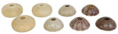 (8) DOMED ALABASTER CHANDELIER