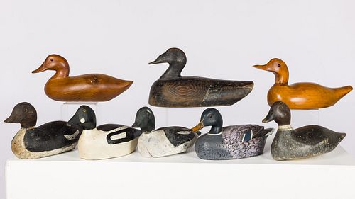 8 DUCK DECOYSProperty from a