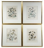 (8) FRAMED LITHOS OF BUTTERFLI