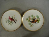 8 Hutschenreuther handpainted