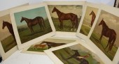 8 LATE 19TH C COLORED CHROMOLI