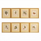 8 PC FRUIT ENGRAVINGS, TRAITE