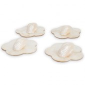 (8 PCS) KAPPA SHELL MOTHER OF