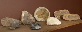 8 PIECE GEODE AND FOSSIL COLLE