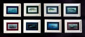 8 PIECE LELAND WILLIAM PAINTIN