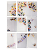 9 CASES OF MOUNTED TAXIDERMY B