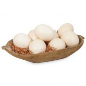 (9 PCS) LARGE OSTRICH EGG SHEL