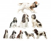 (9) Spaniel dog figurines, inc