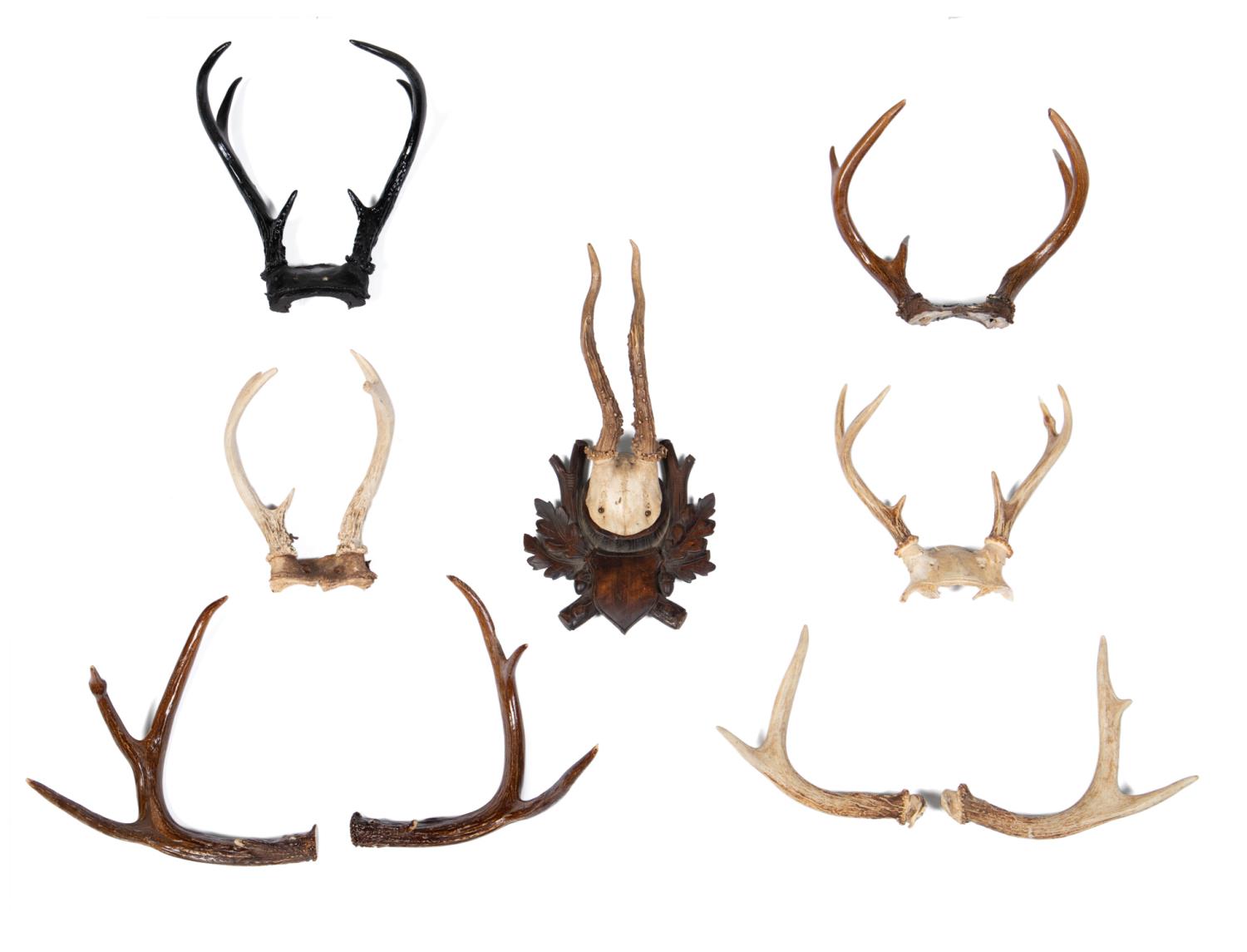 9PC SELECTION OF WALL MOUNTED