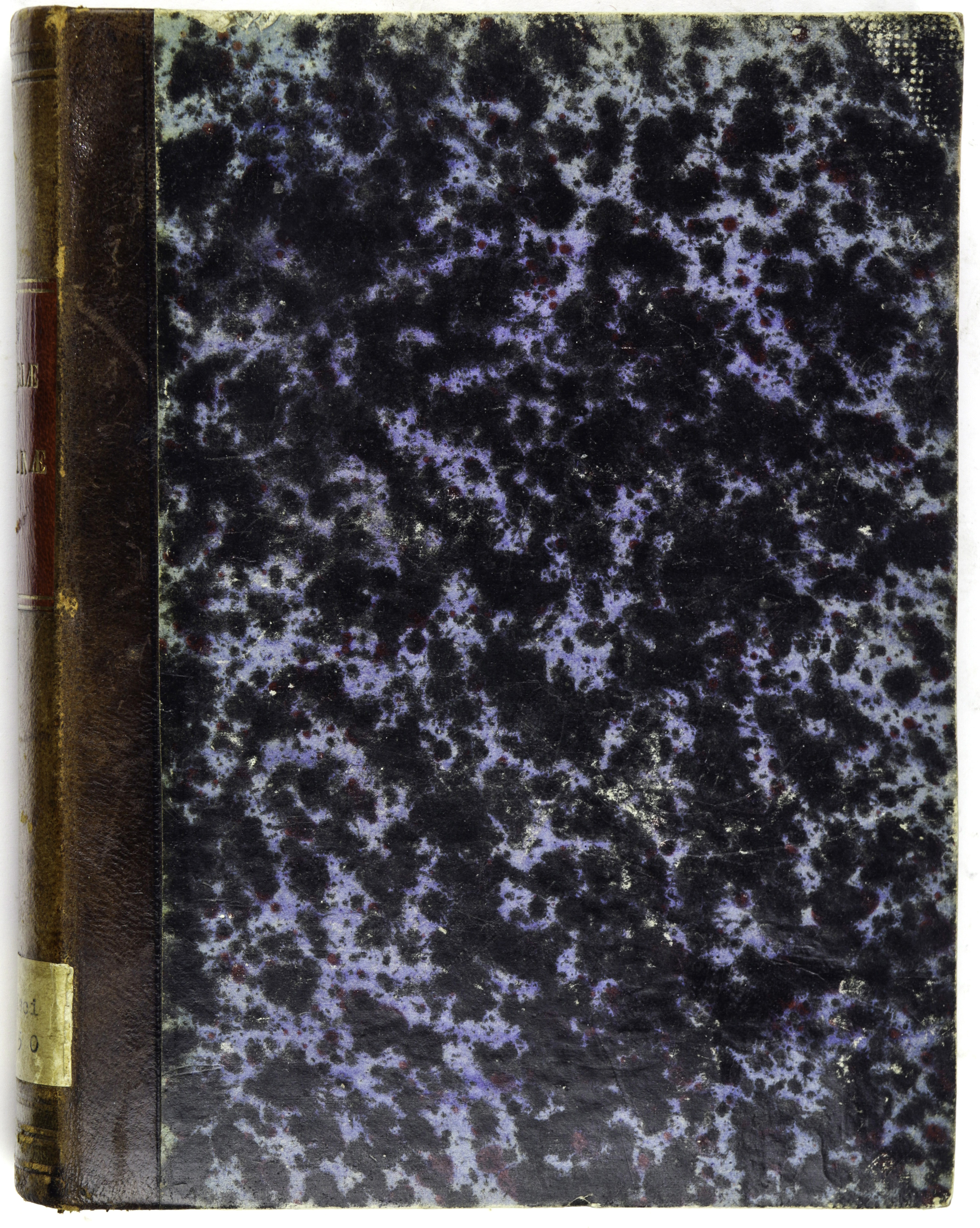 A 1650 BOOK HISTORICAL LITUANAE