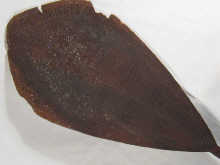 A 19th c. tribal Maori paddle