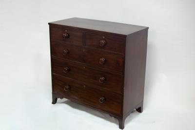 A 19th Century mahogany chest of