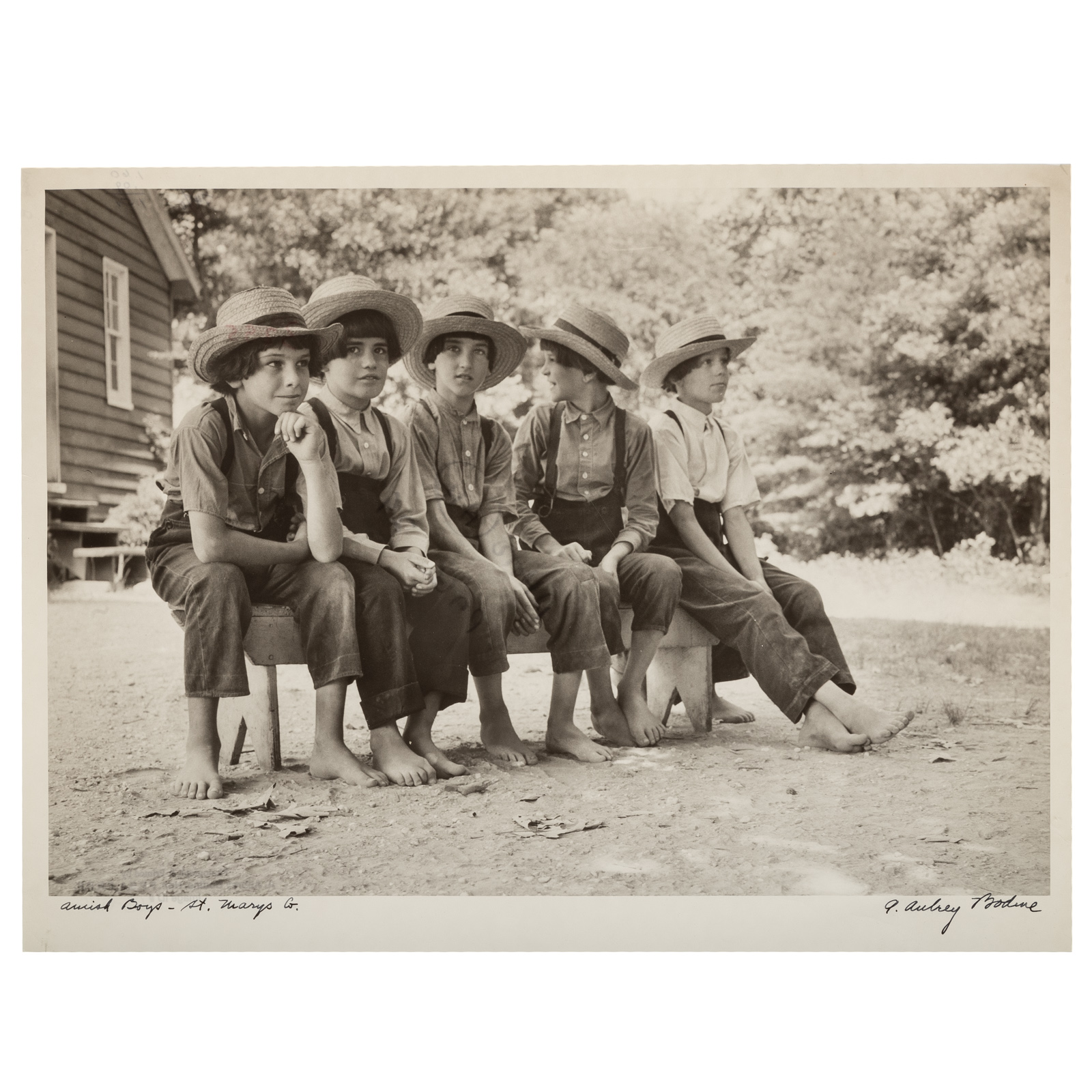 A. AUBREY BODINE. "AMISH BOYS-ST.