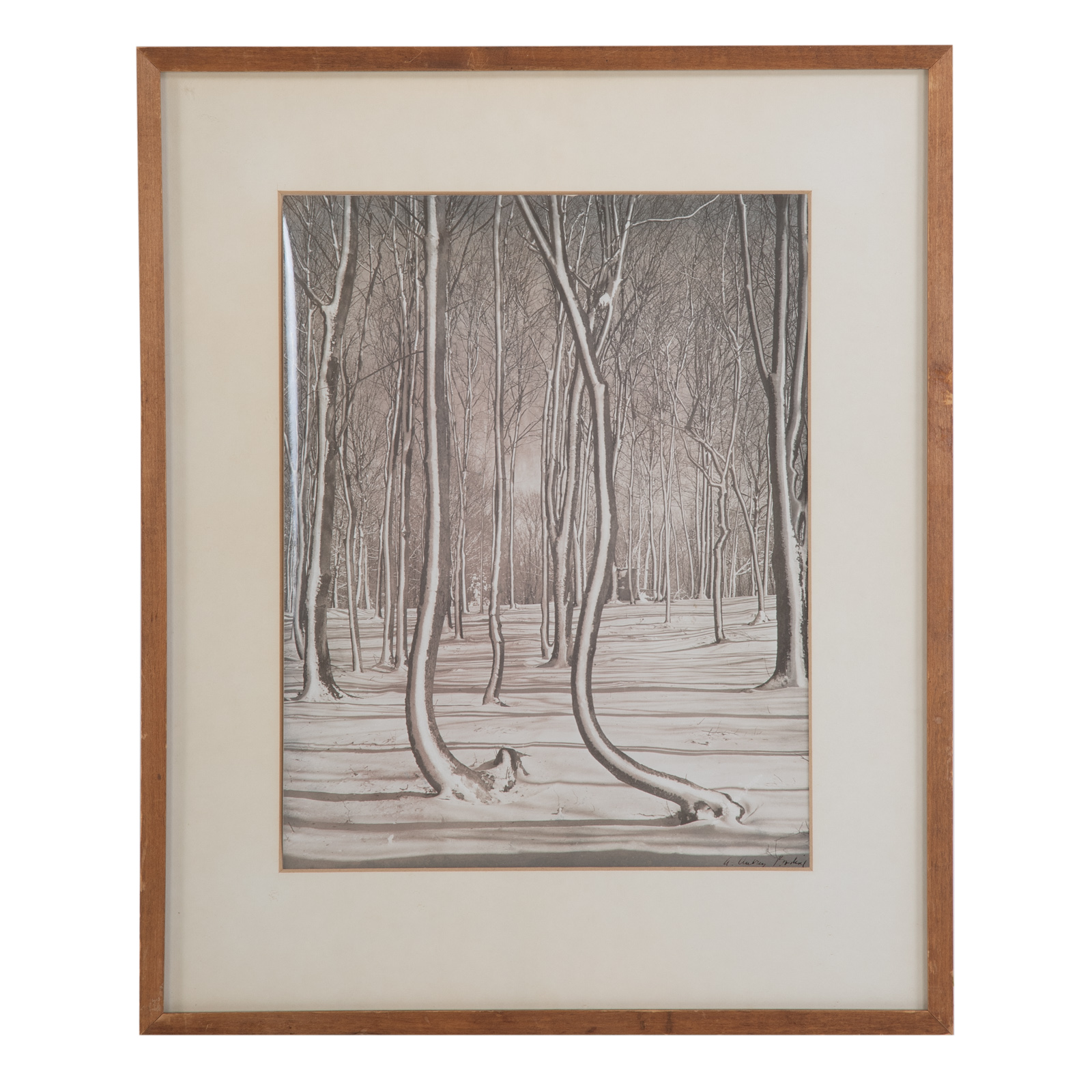 A. AUBREY BODINE. "CROOKED TREES"