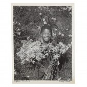 A. AUBREY BODINE. "DAFFODILS,