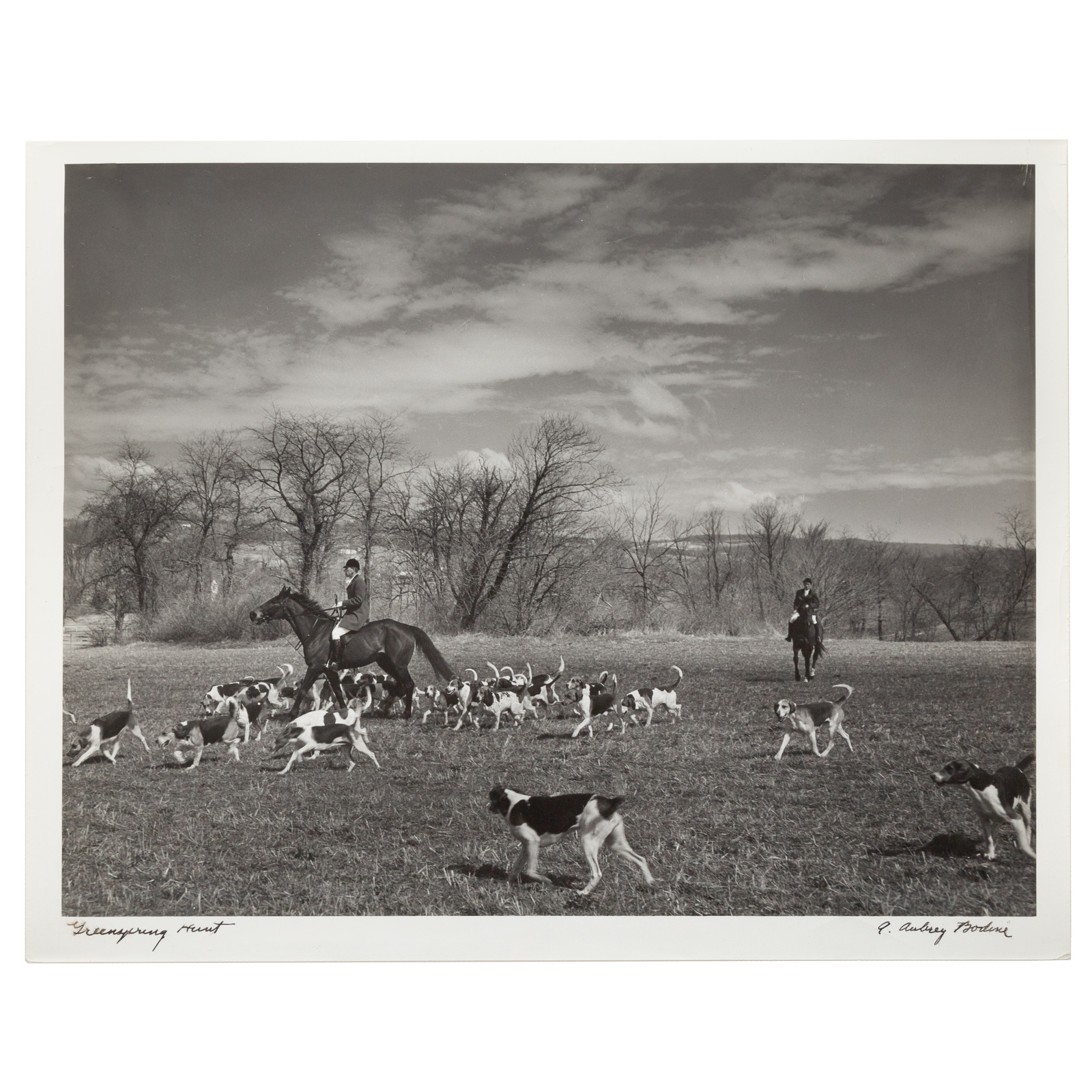A. AUBREY BODINE. "GREENSPRING