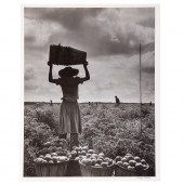 A. AUBREY BODINE. HARVESTERS (