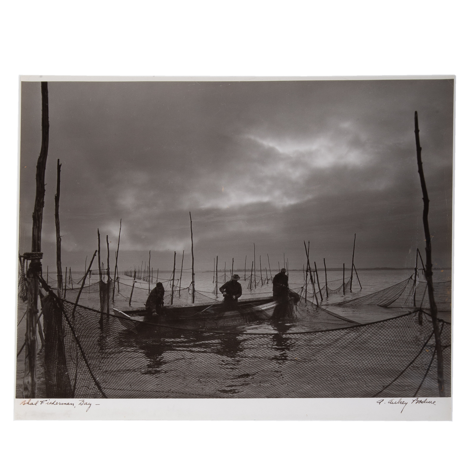A. AUBREY BODINE. "SHAD