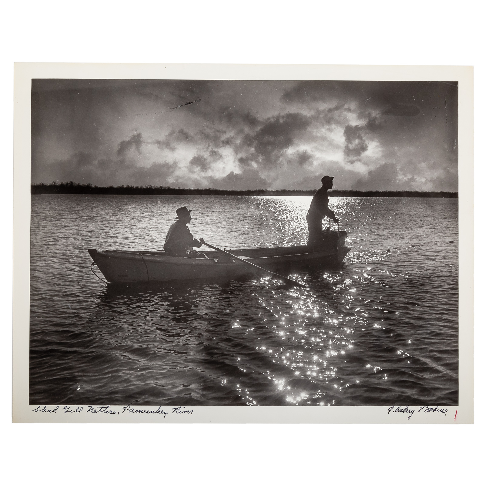 A. AUBREY BODINE. "SHAD GILL