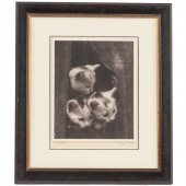 A. AUBREY BODINE. "THREE KITTE