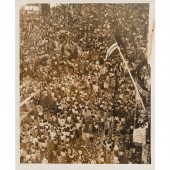 A. AUBREY BODINE. UNTITLED, PH