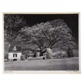 A. AUBREY BODINE. "WYE OAK" (A