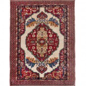 A Bakhshaish Wool Rug
Mid-20th