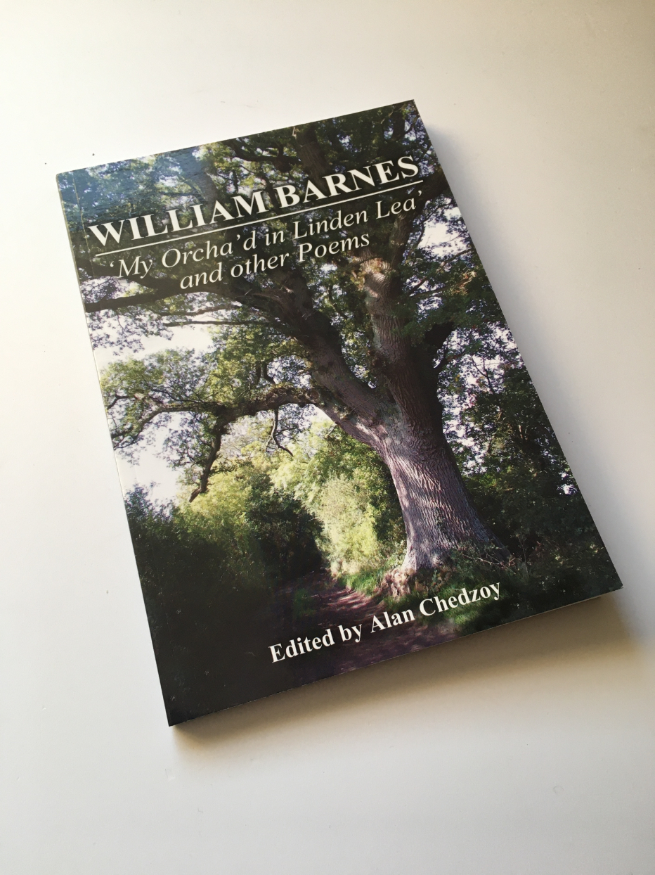 A BARNES OAK SAPLING For tree