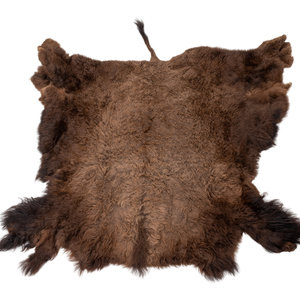 A Buffalo Hide Rug 20th Century 6