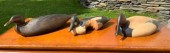 A canvasback carved and painte