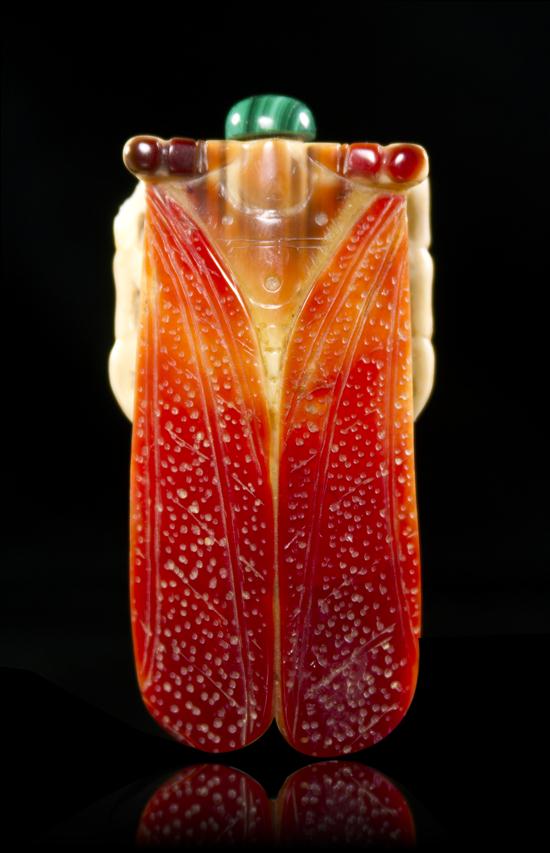 A Carved Hornbill Snuff Bottle in