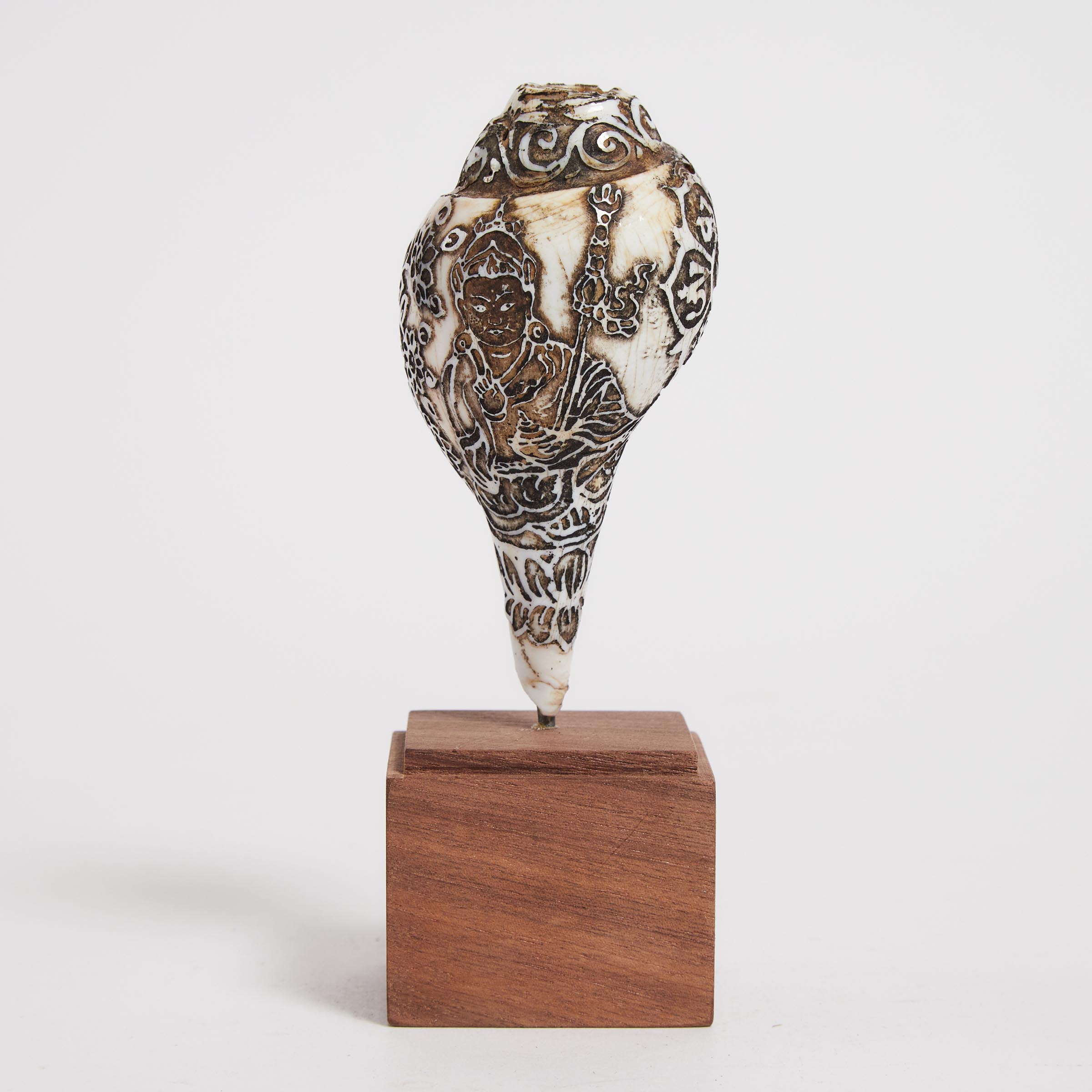 A Carved Shell Depicting