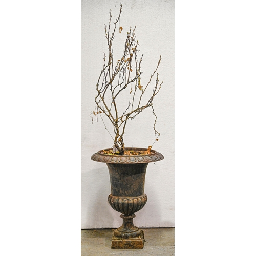 A cast iron campana vase, 62cm h;
